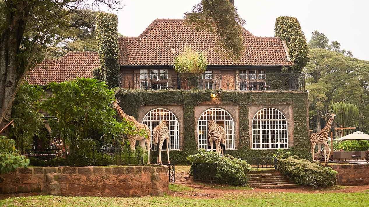 giraffe-manor-ivy-facade-with-herd-featured-16x9