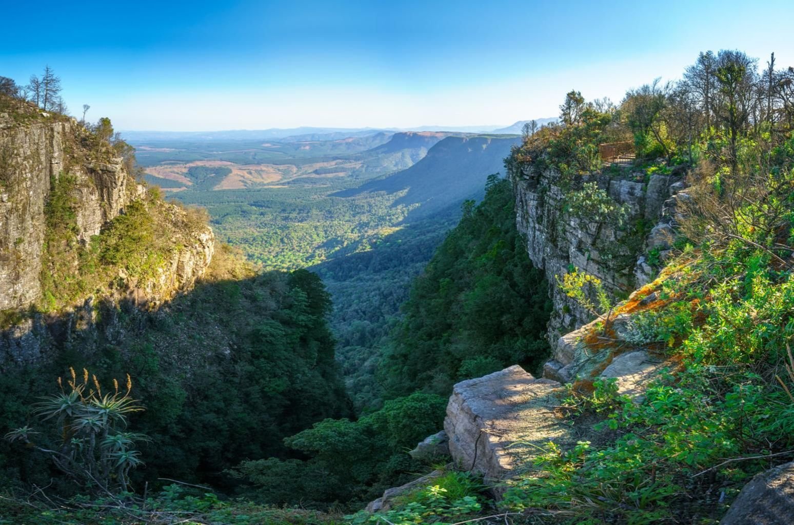 this-is-africa-gods-window-escarpment-view-mpumalanga-timeout